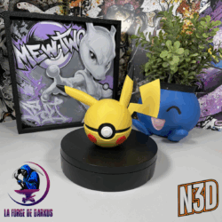 #025 Pikachu Ball