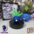 #043 Mystherbe Ball