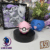 #113 Leveinard Ball