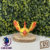 #146 Sulfura Ball