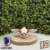 #249 Lugia Ball