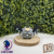 #487S Giratina #487 Giratina Ball