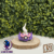 #491 Darkrai Ball