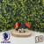 #006 Dracaufeu Ball