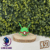 #384 Rayquaza Ball