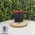 Stand Cartes Pokedex