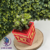 photo produit (27) Boite Crash Bandiccot