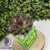 photo produit (28) Boite Crash Bandiccot