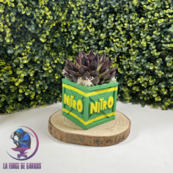 Boite Crash Bandiccot