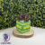 photo produit (29) Boite Crash Bandiccot