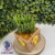 photo produit (30) Boite Crash Bandiccot