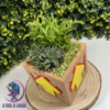 photo produit (32) Boite Crash Bandiccot
