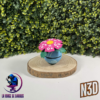 C003 Clone Florizarre Ball