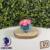 C003 Clone Florizarre Ball
